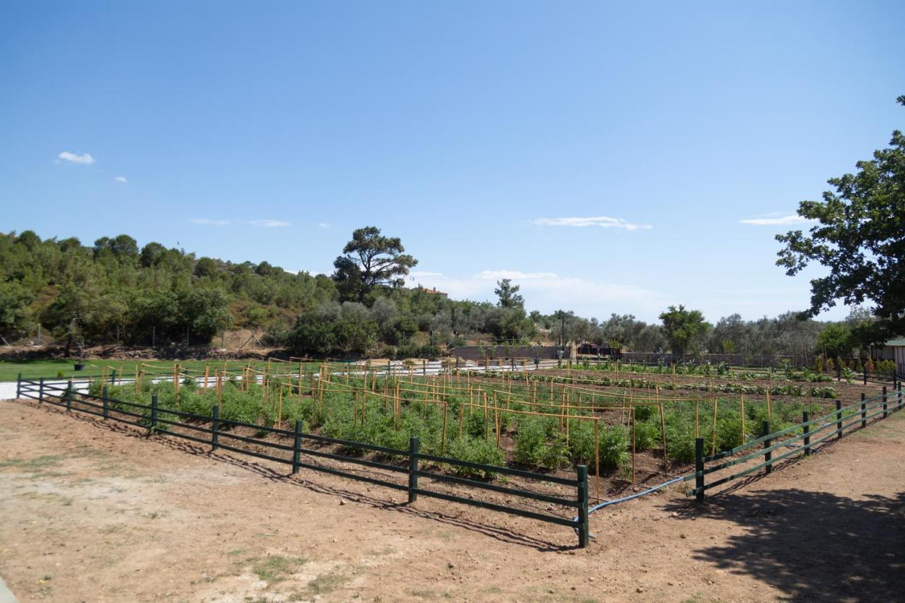Leone Natural Ayvalik Exterior photo